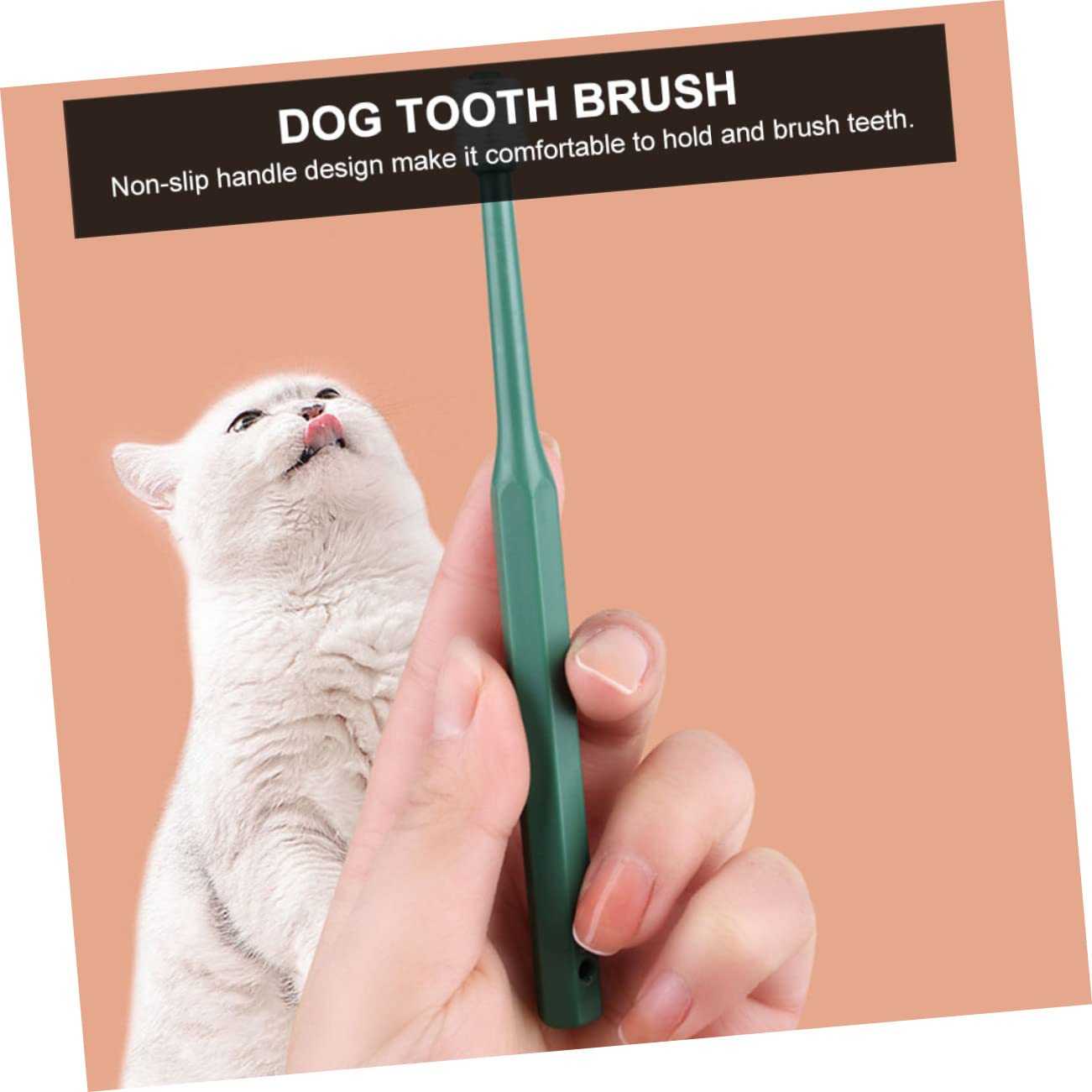 minkissy 12 Pièces Brosse À Dents Brosse De Nettoyage Pour Animaux De Compagnie Dents Pour Animaux Dissolvant De Plaque Brosse Pour Chaton Outil De Nettoyage Des Dents Pour De
