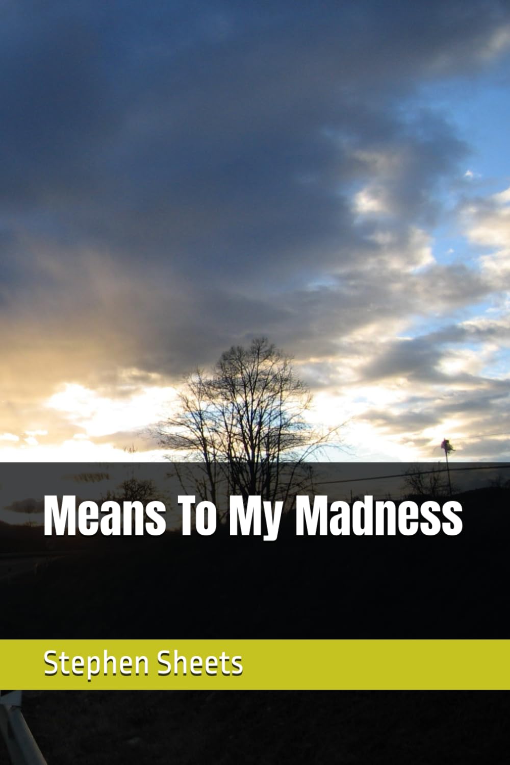 Means To My Madness