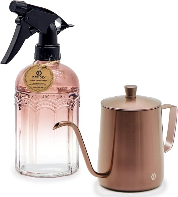 OFFIDIX Watering Can for Indoor Plants Long Spout Metal Stainless Steel 21 oz Small Watering Can with 14 oz Glass Plant Mister Spray Bottle for Plants Bonsai
