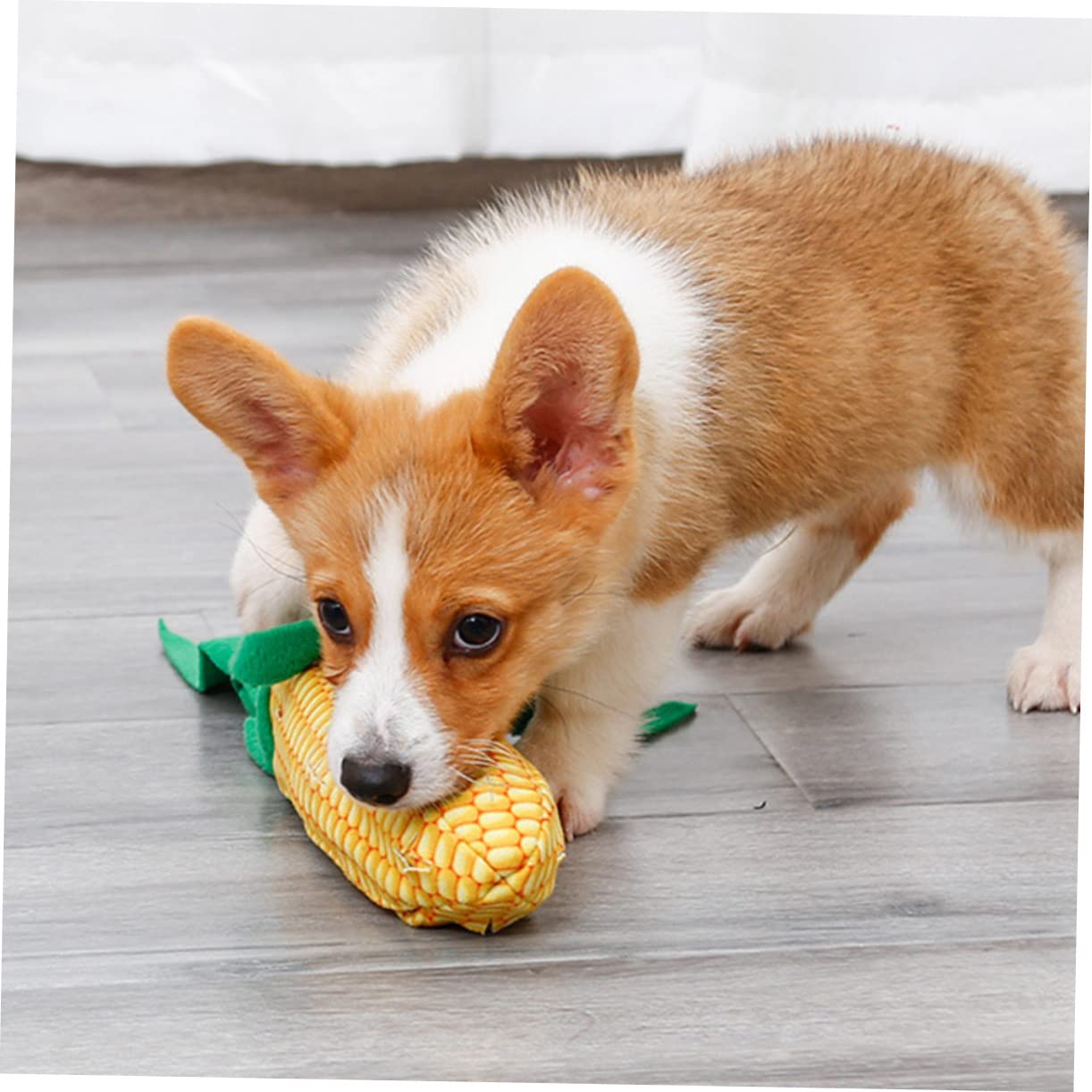 Angoily 3ensembles Jouet pour Chiens Forme De Maïs Jouet Alimentation Molar Rod Et Accessoire De Formation Interactif pour Chiens Et Chiots Et Polaire Doux