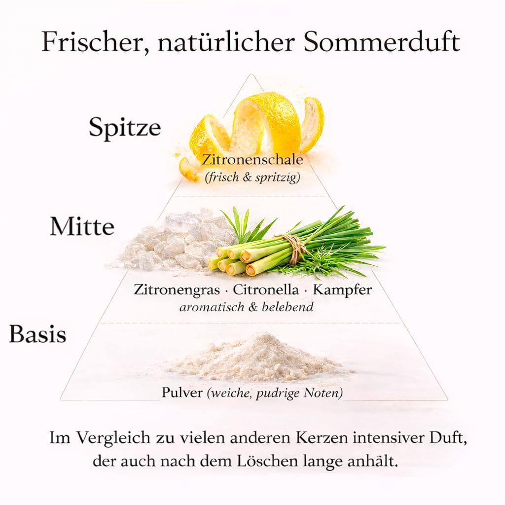 Citronella Duftkerze im Glas 300g – Sojawachs Kerze mit Holzdocht, intensiver Duft, Sommer Zitronengras & Zitrone Duft, lange Brenndauer 70h, für Haus, Terrasse & Balkon, Geschenkidee