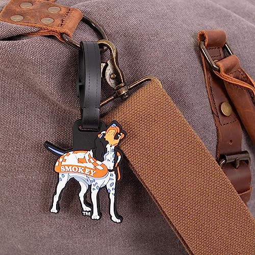 Desert Cactus University of Tennessee Luggage Tag UT Knoxville Volunteers Durable PVC Travel ID Label for Bags and Backpacks (Design B)3