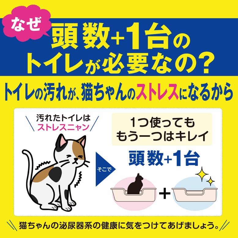 子猫　お出迎えセット 楽天市場】子猫お迎えケージセット 送料無料 初心者 初めての飼育は