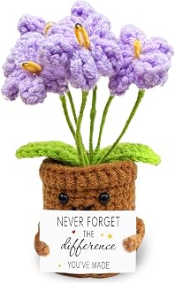 Retirement Appreciation Gifts for Women,Mini Positive Crochet Plant Doll,Emotional Card Never Forget The Changes You Have Made,Leaving Farewell Going Away Goodbye Gift for Coworker,New Job Office Gift