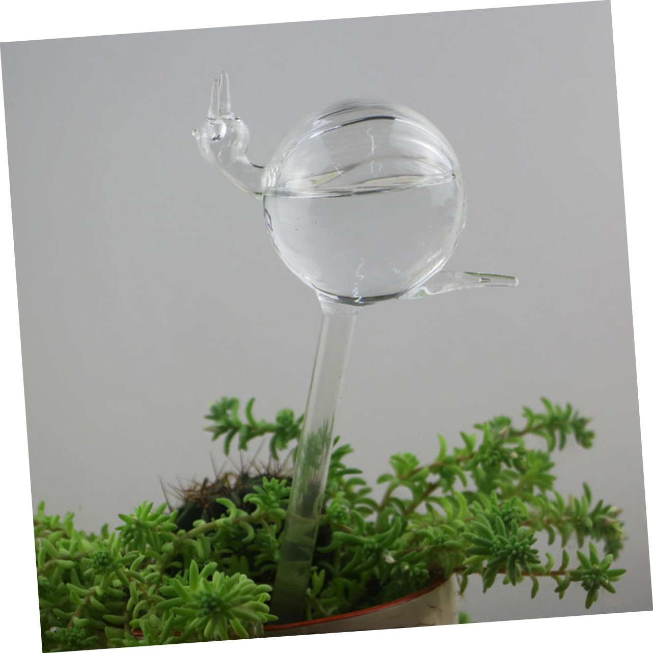 ibasenice Vetro Gocciolatore Automatico Autoirrigazione 2 Pezzi, Elegante e Pratico, per Piante in Vaso per Casa | Forma Chiocciola e Cigno, Uso in Casa e Vasi da Fiore, per Irrigazione Automatica Stile Elegante