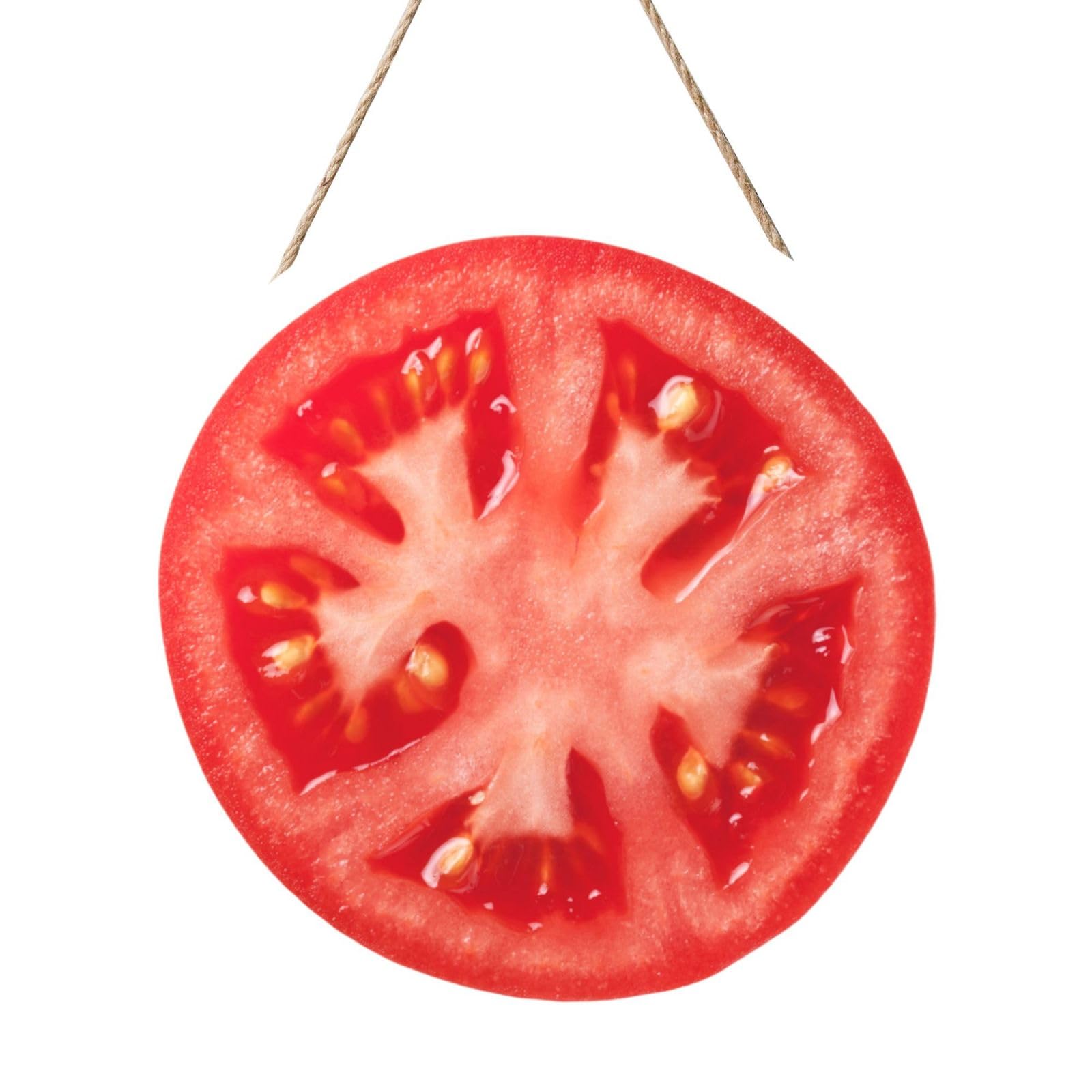 InOmak Tomato Slice, Round Wood Panel Painting 12 in, Wall Hanging Painting For Home