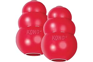 Kong Classic Small 2 Pack Dog Toy
