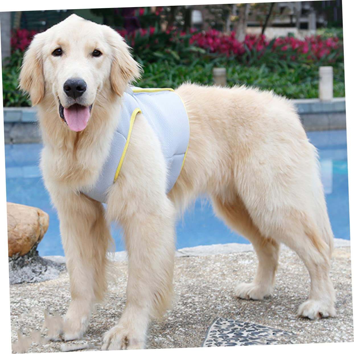 Kisangel 2 Chalecos Refrigerantes para Mascotas De Malla Transpirable Fáciles De Poner Y Quitar Talla S