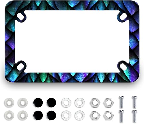 Marco de placa de matrícula de dragón para motocicleta, a escala colorida, de acero inoxidable, divertido soporte para placa de motocicleta,