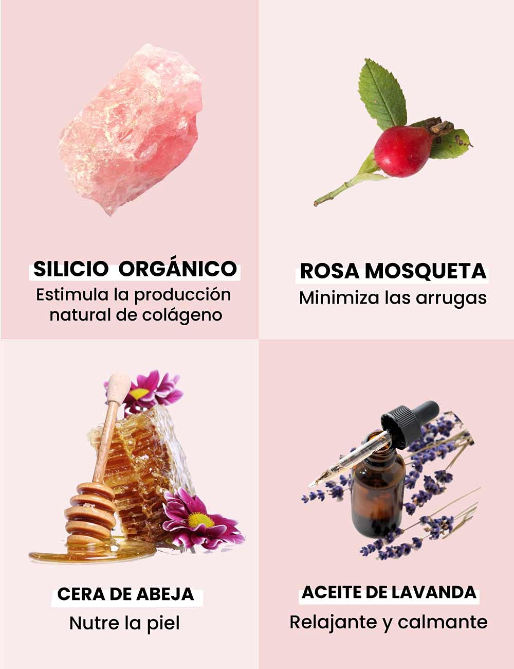 Silicium Rose Musquée. Anti Alterungs Creme. Feuchtigkeit und Leuchtkraft für die Haut. Bestehend aus Silizium und Chilenisches Hagebuttenöl für die Gesichtspflege. 50 ml Behälter mit Spender.
