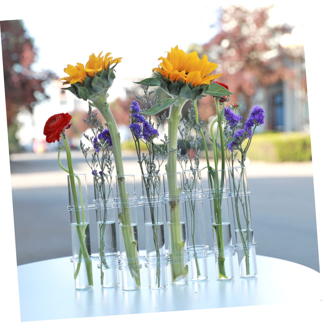 Vase en Verre de Propagation de Plantes, 1 Set, Hydroponique | Bureau et Maison, Terrarium Végétal à Tubes à Essai, Décoratif pour Plantes D’intérieur