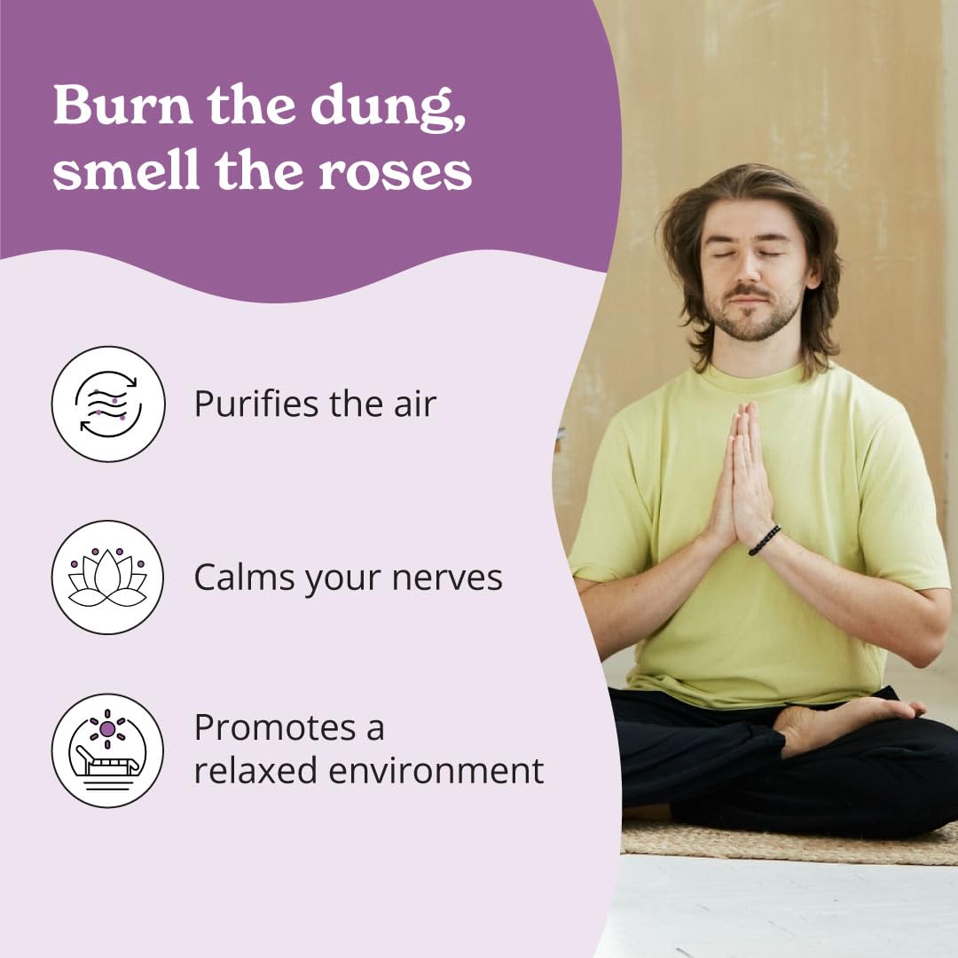 Better Alt Incense Sticks, Natural Rose Fragrance (30 Qty)| for Relaxation & Air Cleanising| 100% Natural, Chemical Free, No Charcoal