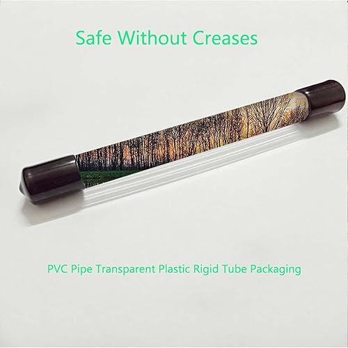 Miniatura 5 de Película de privacidad multiadhesiva para ventana, lago y puesta de sol con espejo de cristal de agua y bosque, bloqueo de luz solar, para el hogar,