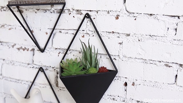 Amazon.com: MyGift Indoor Wall Planter and Wooden Wall Display