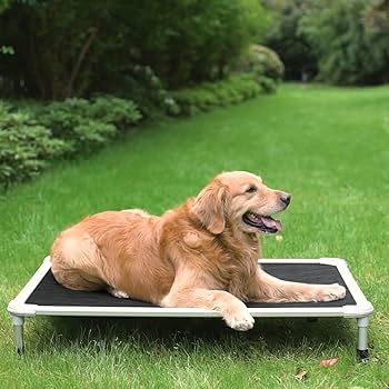 Amazon.com : Veehoo Chew Proof Elevated Dog Bed - Cooling