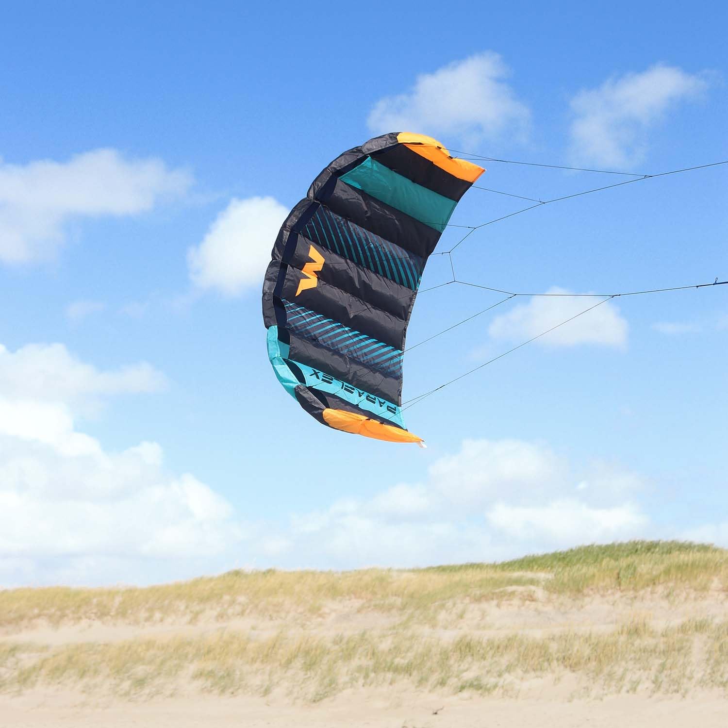 Wolkenstürmer Paraflex Basic Lenkmatte 1.2 (türkis) - Zweileiner Kite für Kinder ab 6 Jahre - Lenkdrachen flugfertig mit 2x25m Dyneemaleinen & Flugschlaufen