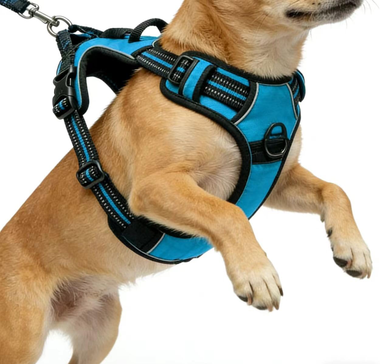 Blue No-Pull Dog Harness with 2 Leash Clips,Soft Padded Vest for Small Dog, Adjustable Reflective Dog Vest Easy to Put on and Take Off,(Neck: 13"~17", Chest: 17"~21",Blue Small)