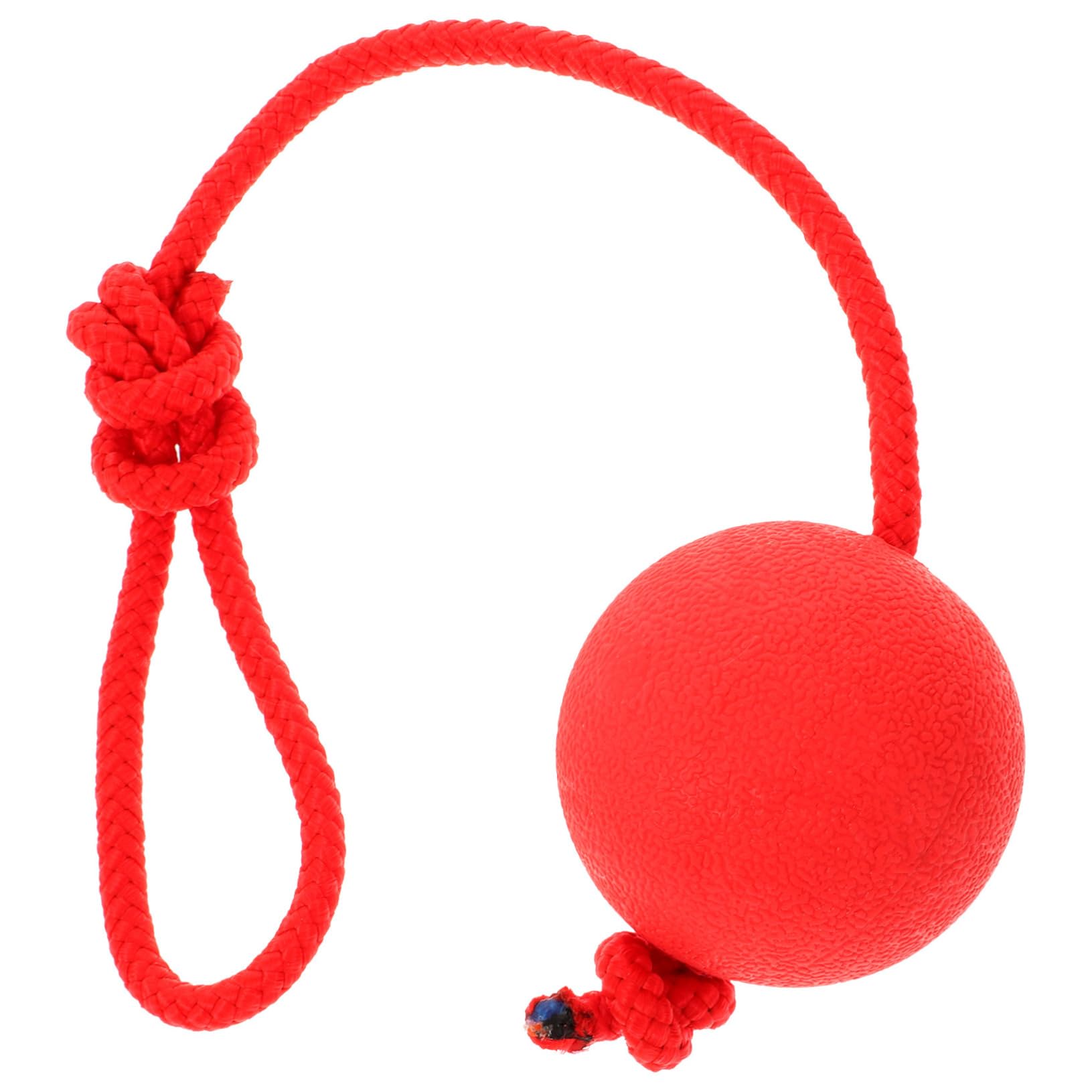 Abaodam Solid Elastic Dog Toy Pet Toys for Dogs Heavy Duty Pet Training Ball Red Random