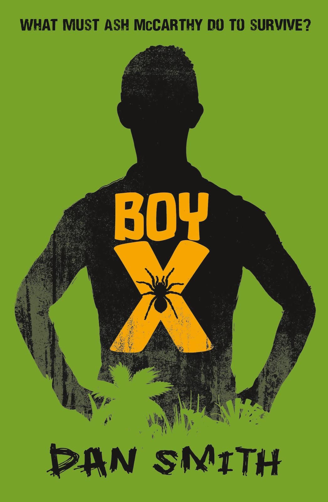 Boy X by Dan Smith (Paperback Book)