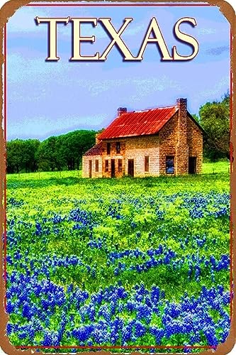 AJ AeB[N Ŕ̃uLŔ 20X30cm eLTXu[{lbgԃAJOAJ sL Be[W uL Ŕ AJ W 20X30cm