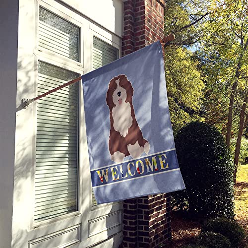 Grand drapeau Bernedoodle multicolore en tissu résistant pour mât de maison - 3