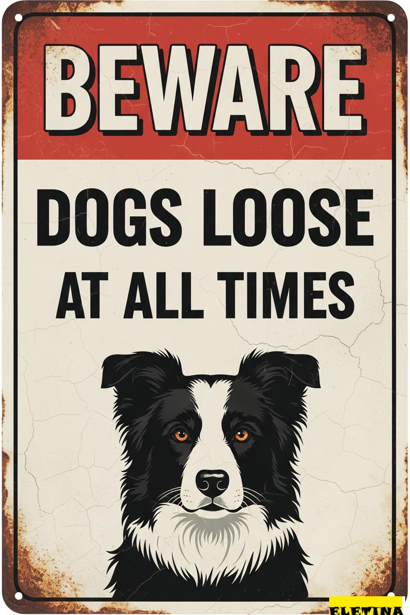 Beware Of Dogs Loose Border Collie Tin Sign, 8x12 Inch