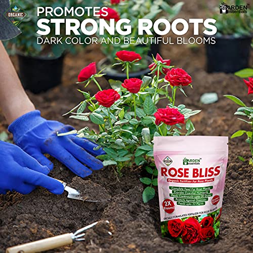 Image of Rose Bliss Fertilizer for Rose Plants | Bloom Booster for Flowering & Growth | Promotes Healthy Roots & More Flowers (1Kg)