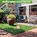 LIANTRAL Dekorativer Gartenzaun, Tier-Absperrzaun, rostfreier Metalldraht, Bodenpfähle, kein Graben für den Außenbereich, 42 cm (H) x 7,63 m Gesamtlänge, 25 Stück