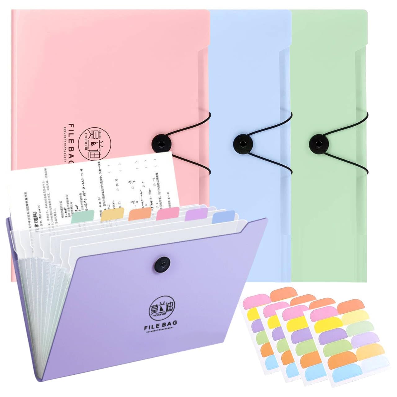 A4 Expanding File Organiser