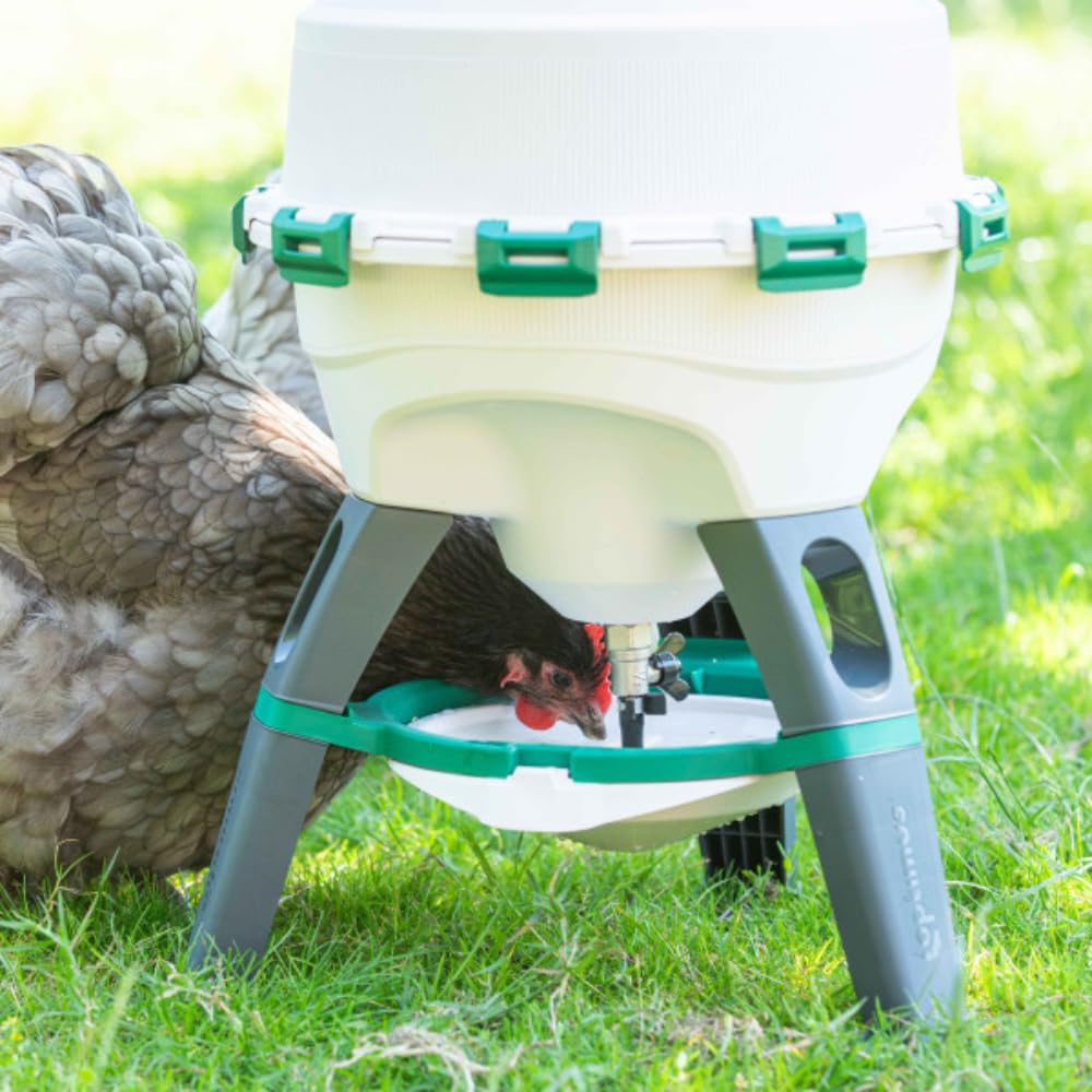 FINCA CASAREJO Bebedero para Gallinas de 25 litros Optimus Fácil Limpieza | Depósito Desmontable | Protección UV | Nivel de Agua Regulable