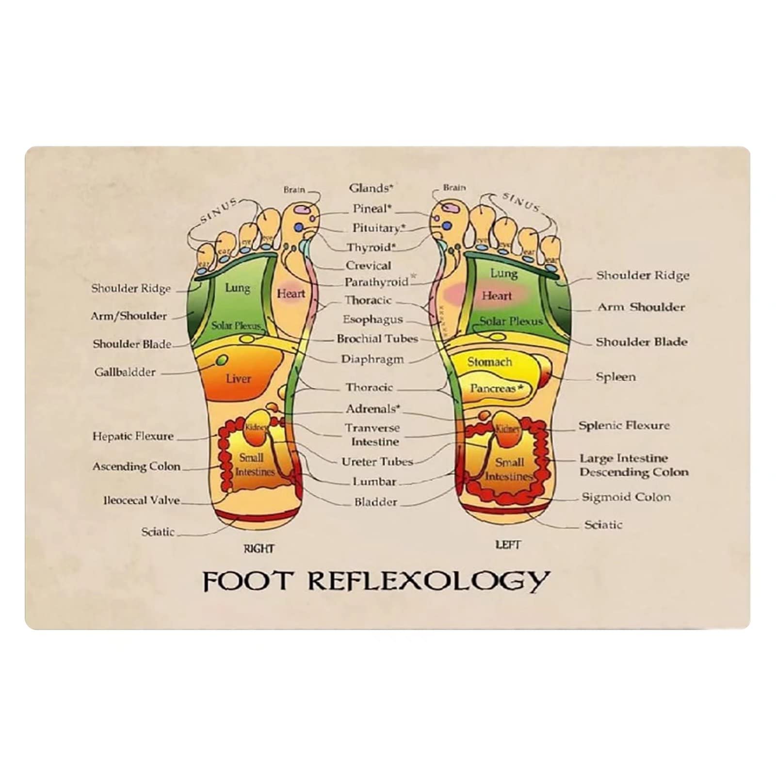 Foot Reflexology Metal Tin Signs Massage Therapist Knowledge Posters Shop Popular Science Wall Decor Club Home Room Guide Plaque Decoration 8x12 Inches