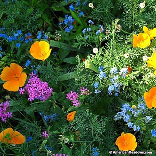 Partial Shade Wildflowers - 25 Varieties and Annual and Perennial Flowering Plants .2 Oz.