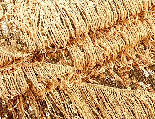 Prettyguide Women's Flapper Dress Sequin Fringe 1920S Inspired Party Latin Dance Dress L/Us12 Gold #TOP5