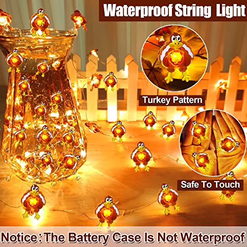 Turnmeon 2 Pack Thanksgiving Turkey String Lights Decorations, Total 60 Led 20 Ft Fall Thanksgiving Lights Copper Wire Fairy Lights Battery Operated Thanksgiving Decorations Indoor Outdoor Home Autumn #TOP4