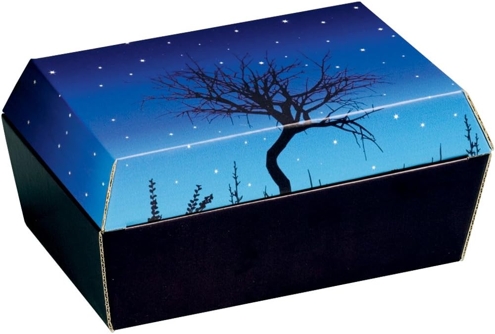 Amopet Corrugated Cordboard Size 1 Pet Coffin/ Casket for Small Birds Rodents, 20 x 12.5 x 9.5 cm