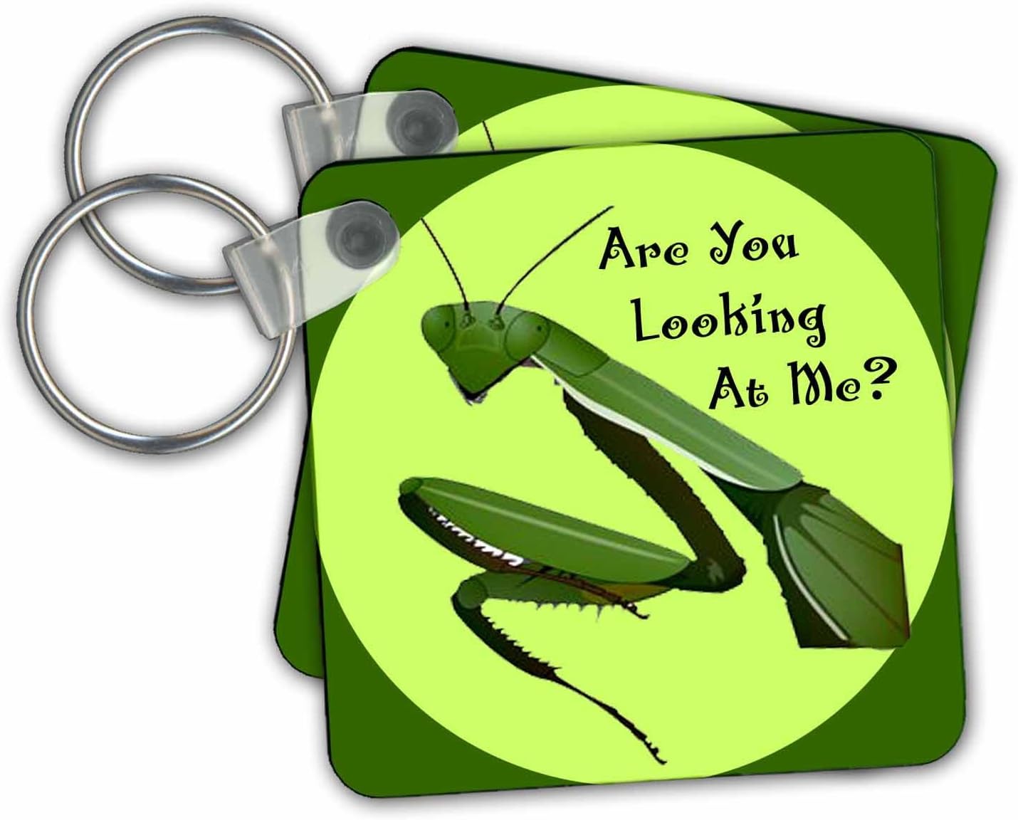 3dRose Praying Mantis Key Chains, 2.25" x 2.25", Set of 2 (kc_17311_1)