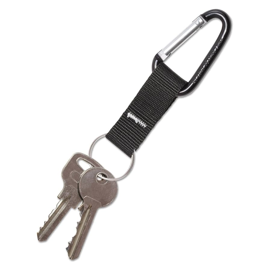 新品未使用 WILDSWANS ROUND CARABINER KEY RING キーリング《カラビナS》サージカルステンレス｜WILDSWANS