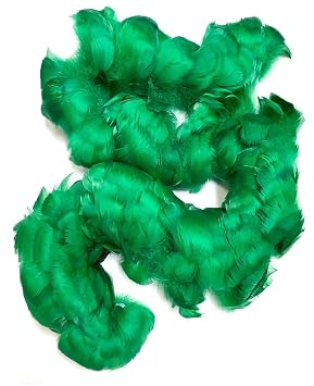 Strung Goose Coquille Feathers for Hawaiian Feather Leis Green - 36" Strand...