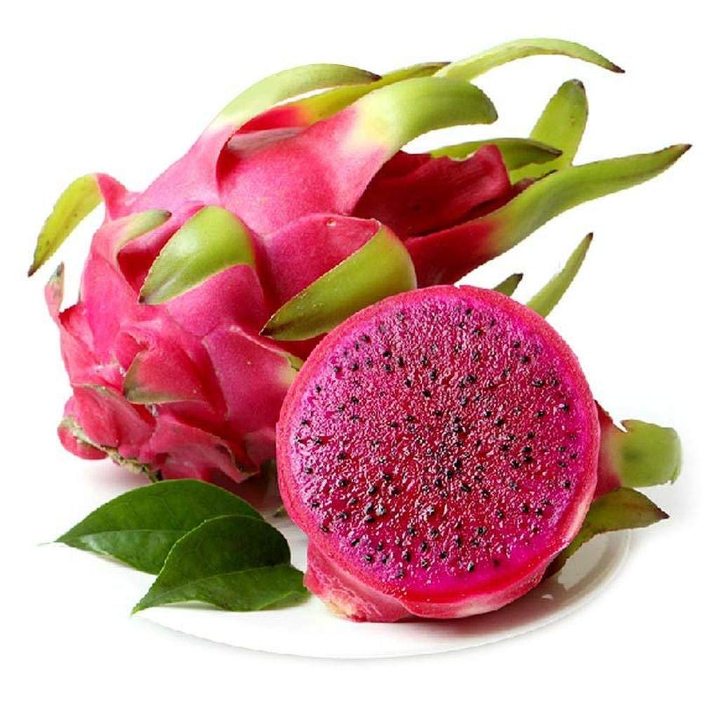 20Pcs Pitaya Fruit Seeds Delicious Red Dragon Fruit Vine Tree Seed for Home Garden Yard Ourdoor Planting