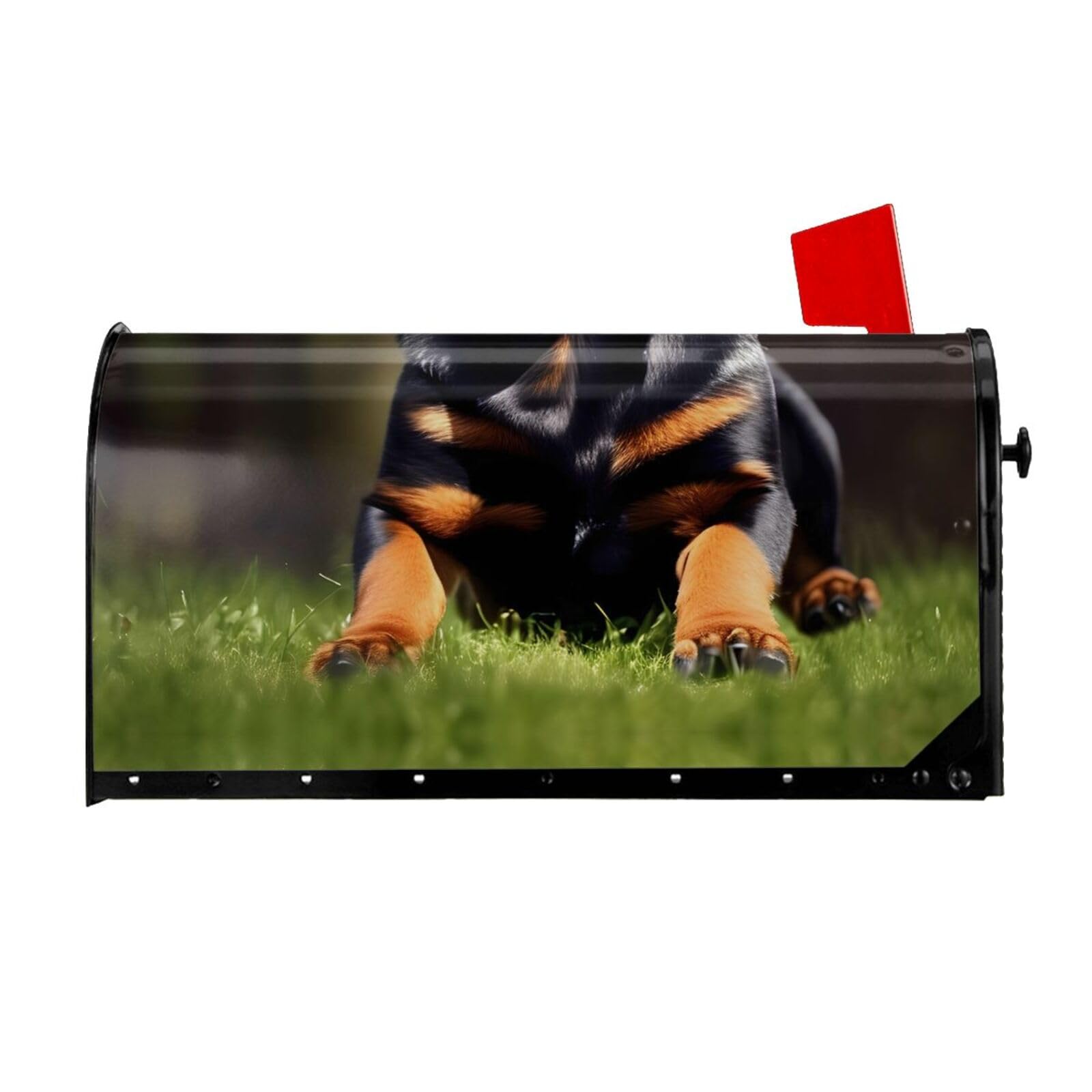 Couverture magnétique Rottweiler pour décor de boîte aux lettres