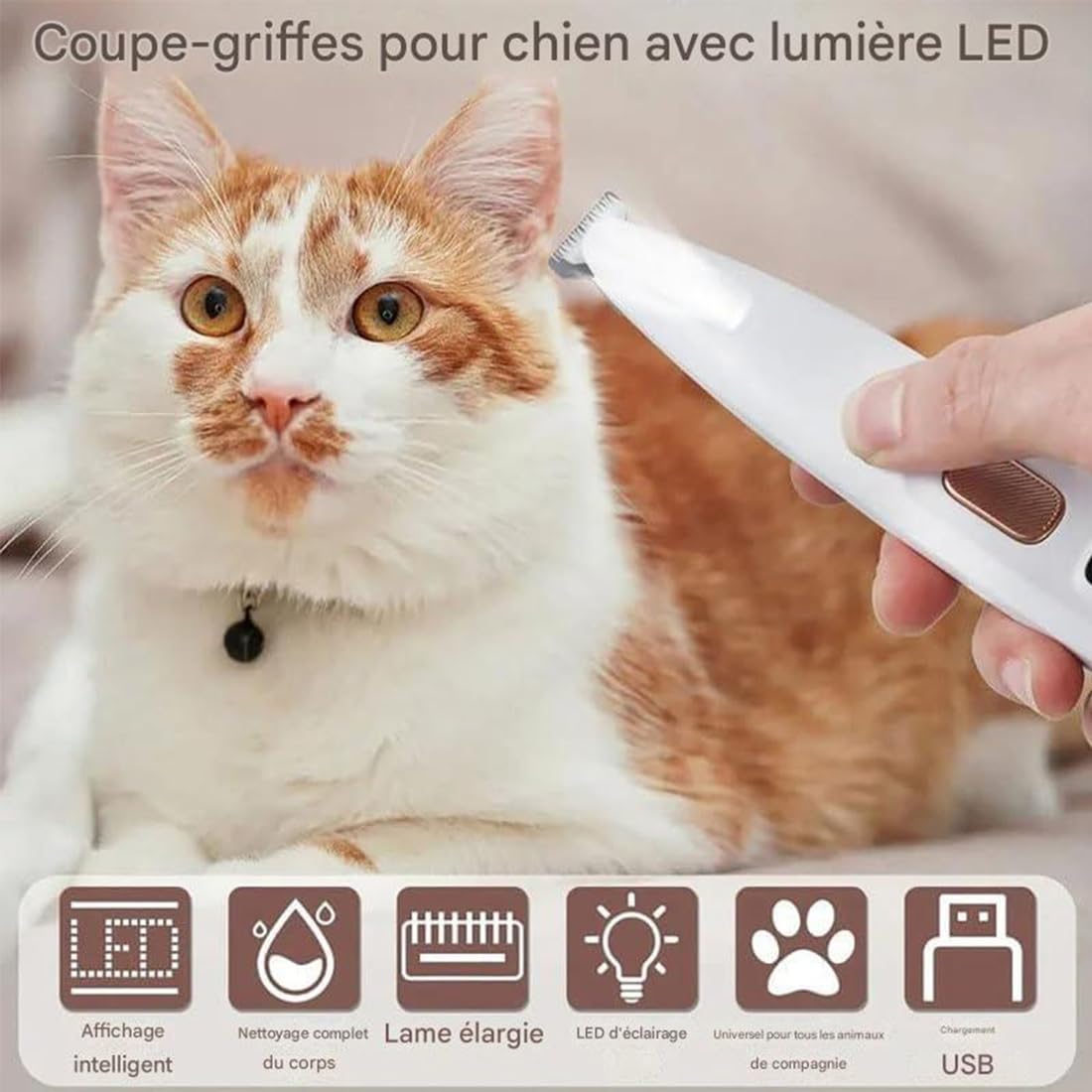 Tondeuse de Toilettage GrosMatou — Douceur & Sécurité, Tondeuse Chat Chien Silencieuse, LED Intégrée, Ne Blessera Pas Votre Chat, Rechargeable USB, Étanche (1p)