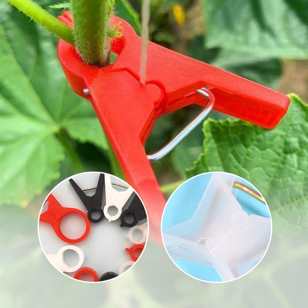 Pflanzenstütz-Clips, wiederverwendbare Gartenclips, gesicherte Kunststoff-Pflanzenclips für Kletterpflanzen, Outdoor, Pflanzenbefestigungsclips, Tomatenklammern für Saitengitter, Rankenclips,
