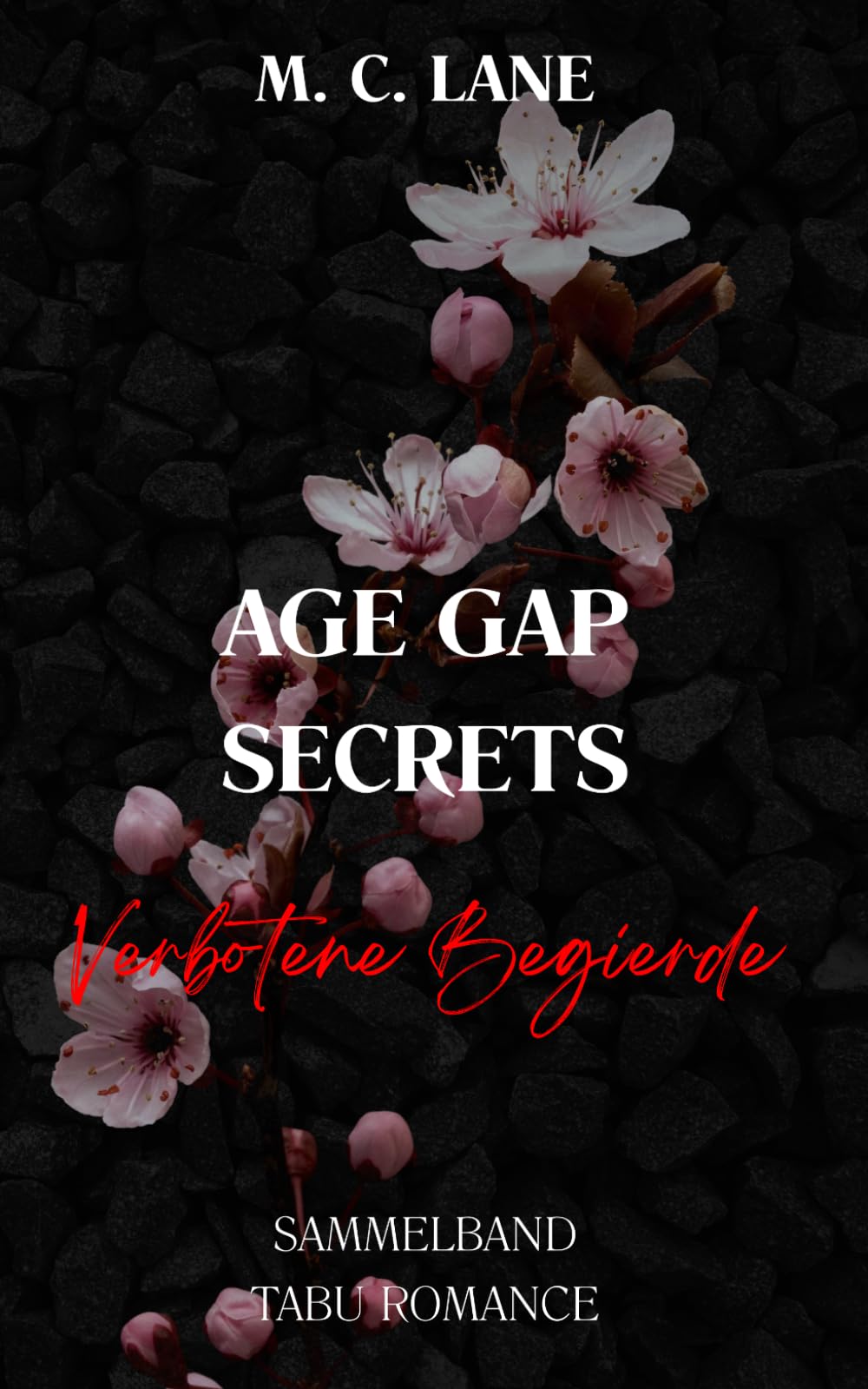 Age Gap Secrets – Verbotene Begierde: XL Sammelband spicy forbidden Age Gap Romance mit Daddy Kink (VERBOTEN – Die Sammelbänder tabuloser Leidenschaft)