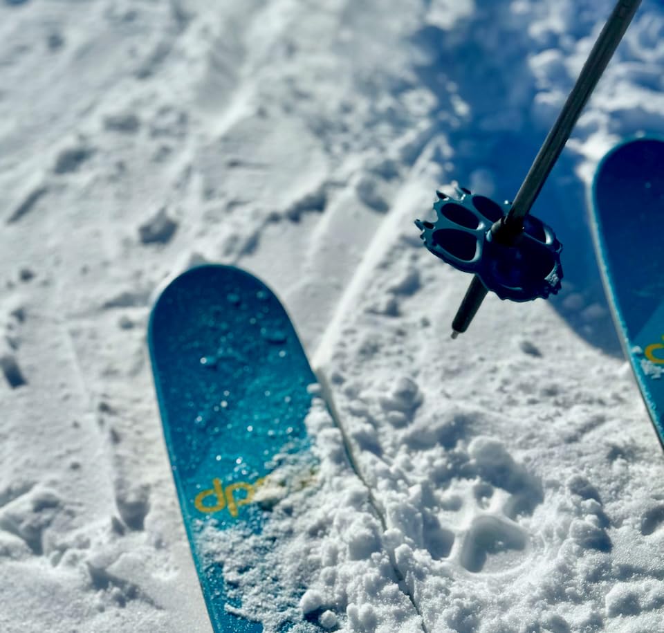 Wolf-Mountain-Lion-Ski-Pole-Baskets