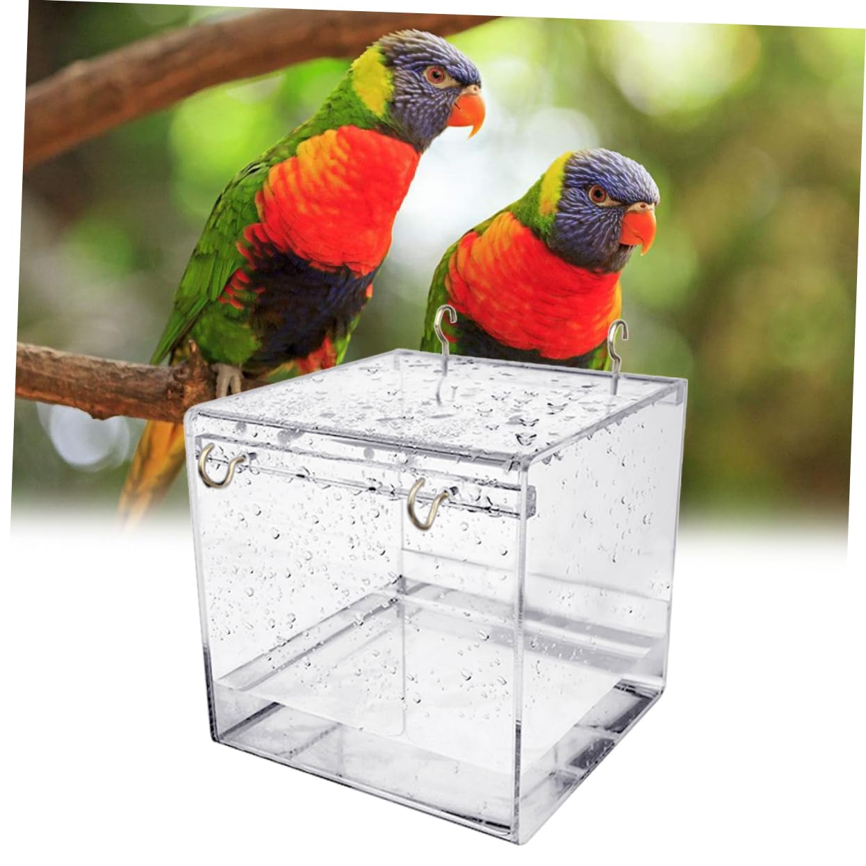 BESPORTBLE Papageienbad aus Kunststoff mit Abdeckung Transparentes Vogelbad für Kleine Vögel und Kanarienvögel als Badekäfigzubehör im Vogelkäfig