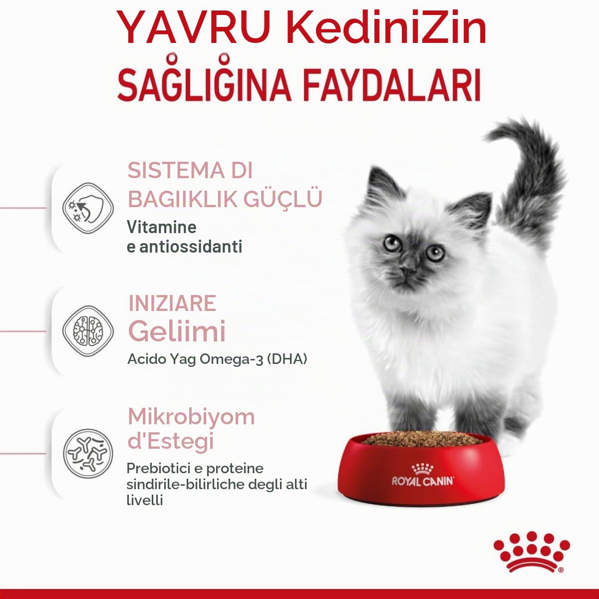 Royal Canin C-58436 Cat - 10KG