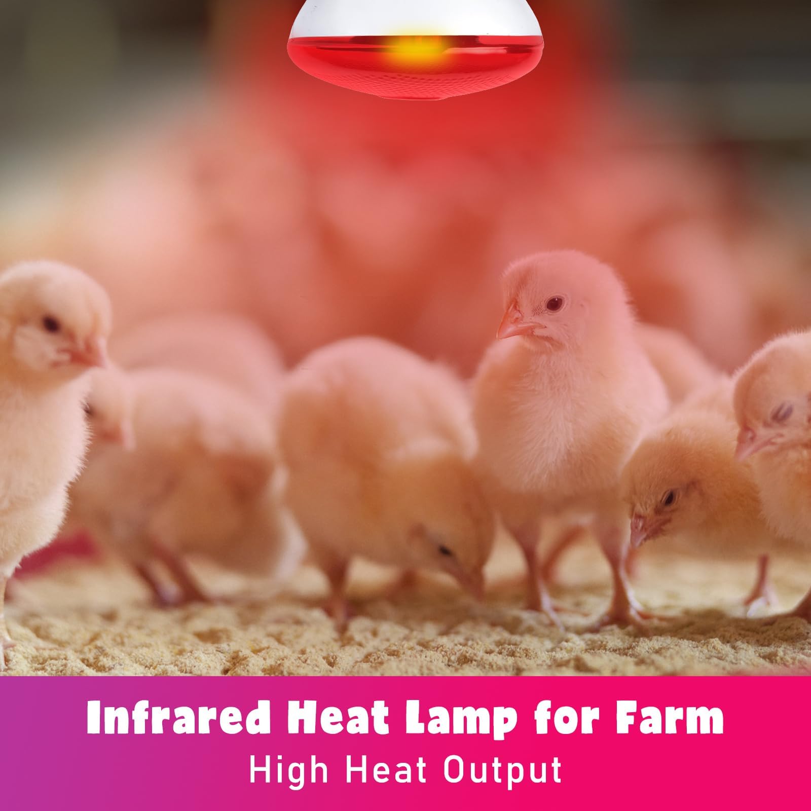 LUCKY HERP Infrared Heat Lamp Bulb, 250W Chicks Infrared Red Heat Lamps, Reptile Heat Light for Chicks Dogs, Puppies, Cats - Image 3