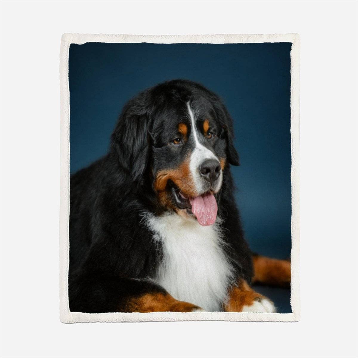 Couverture Polaire Epaisse Hiver Chien Bernois pour Adultes 3D Chien De Compagnie Plaid Canape Chaud Doux en Flanelle Jeté de Canapé pour Couvre lit 2 Personnes pour Enfant Ado 150x200cm