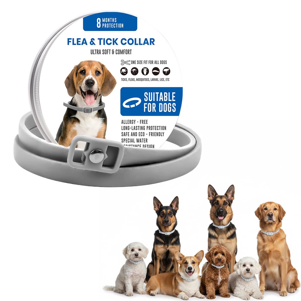 Qpets Flea and Tick Collar for Dogs Adjustable Waterproof Collar 38cm