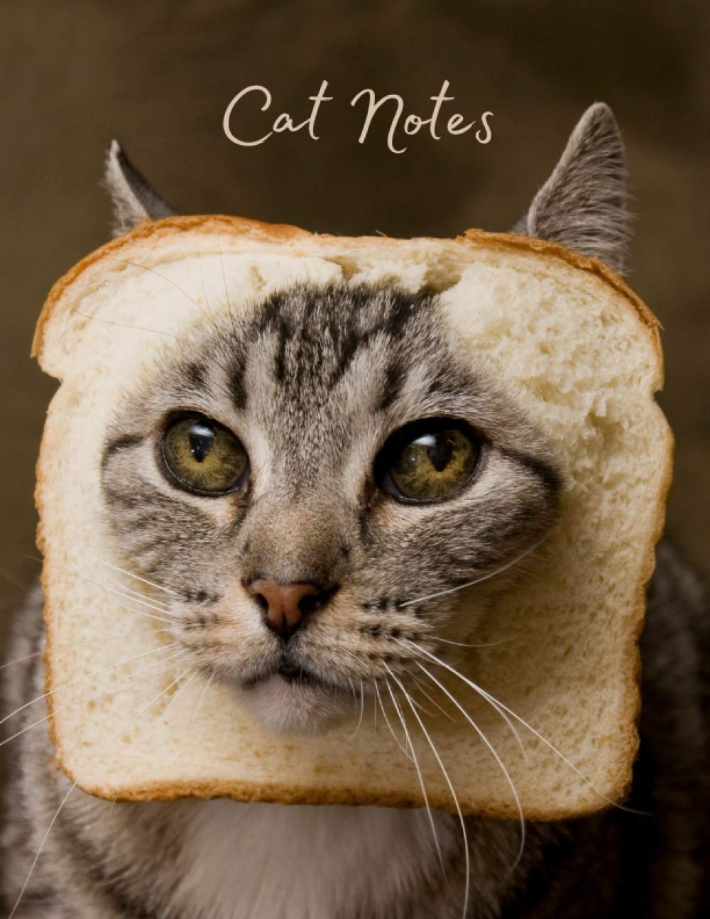 Notebook: Cat Notes, Funny Journal, Diary and Compotition Book. 100 lined pages, 8.5''x 11''. Ideal for Kids Students